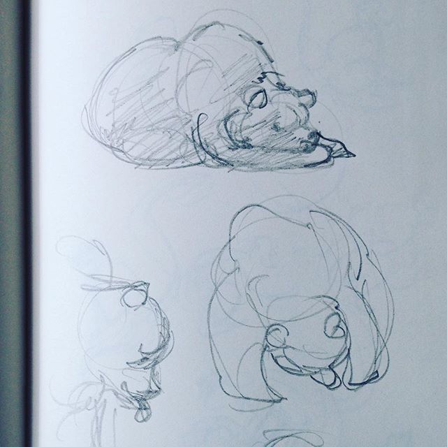 13402491_1755954604617022_404320902_n